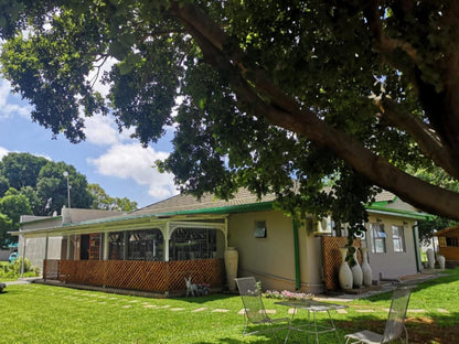 Biekiesvlei Air Bnb And Coffee Shop Lichtenburg North West Province South Africa House, Building, Architecture, Palm Tree, Plant, Nature, Wood, Window