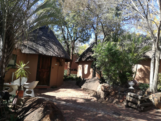 Bietjie Berg Guest Farm Rustenburg North West Province South Africa Palm Tree, Plant, Nature, Wood