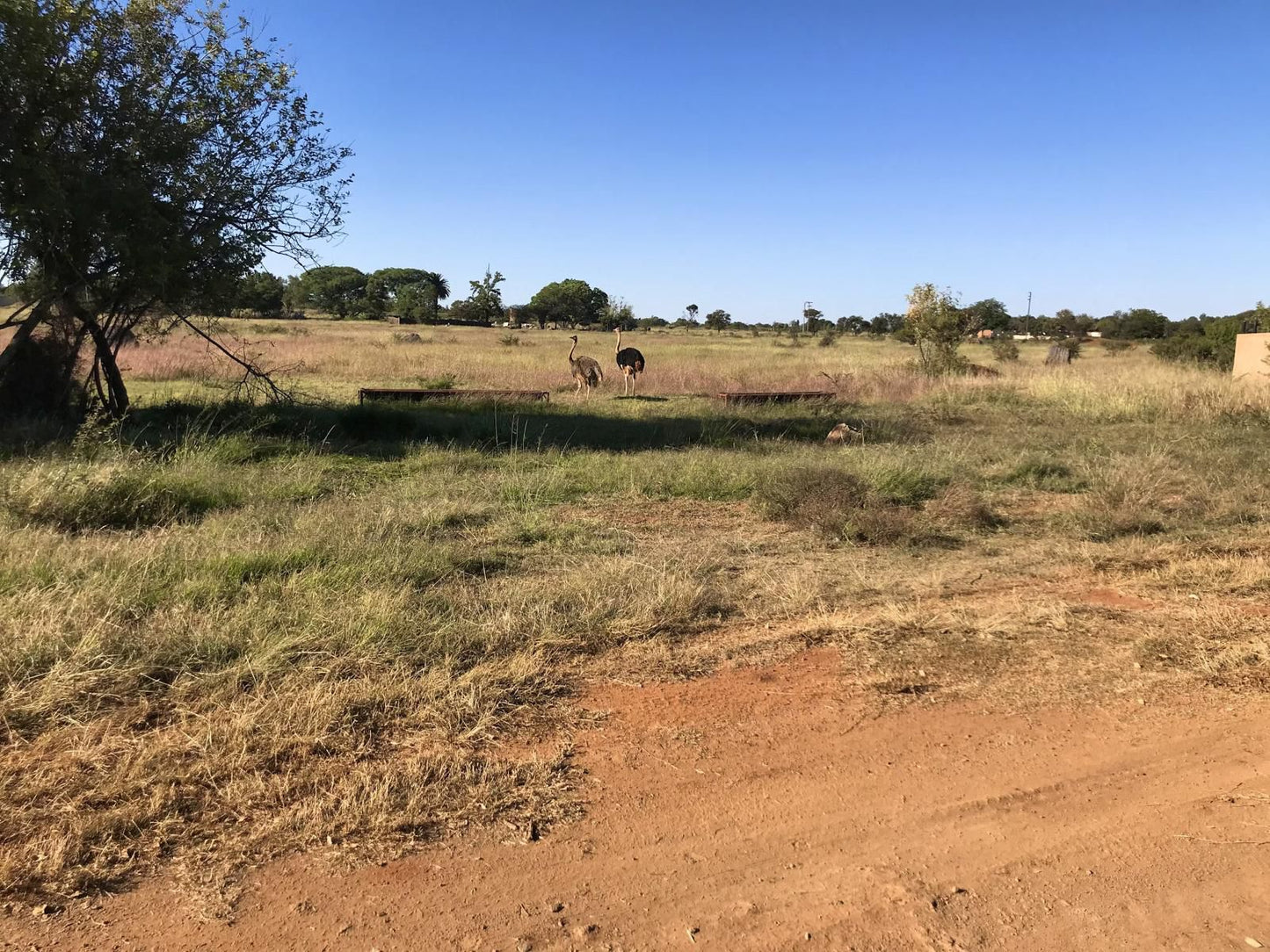 Bietjieplaas, Field, Nature, Agriculture, Desert, Sand, Lowland