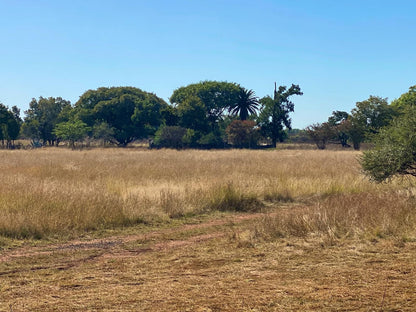 Bietjieplaas, Colorful, Field, Nature, Agriculture, Palm Tree, Plant, Wood, Lowland