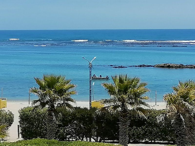 Bietjies Mcdougall S Bay Port Nolloth Northern Cape South Africa Beach, Nature, Sand, Palm Tree, Plant, Wood, Ocean, Waters