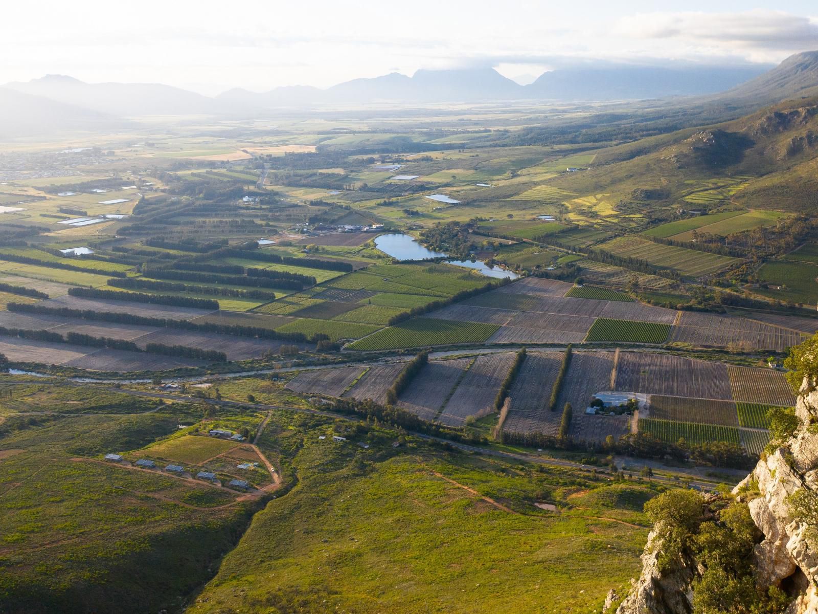 Big Sky Cottages Wolseley Western Cape South Africa Field, Nature, Agriculture, Mountain, Aerial Photography, Highland