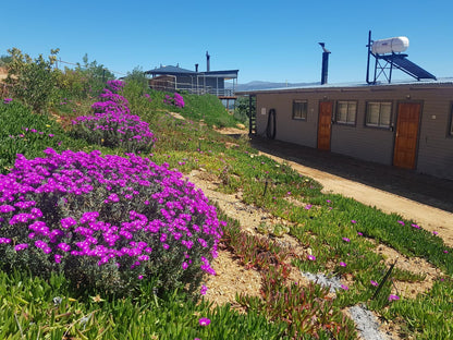 Big Sky Cottages Wolseley Western Cape South Africa Complementary Colors, Plant, Nature