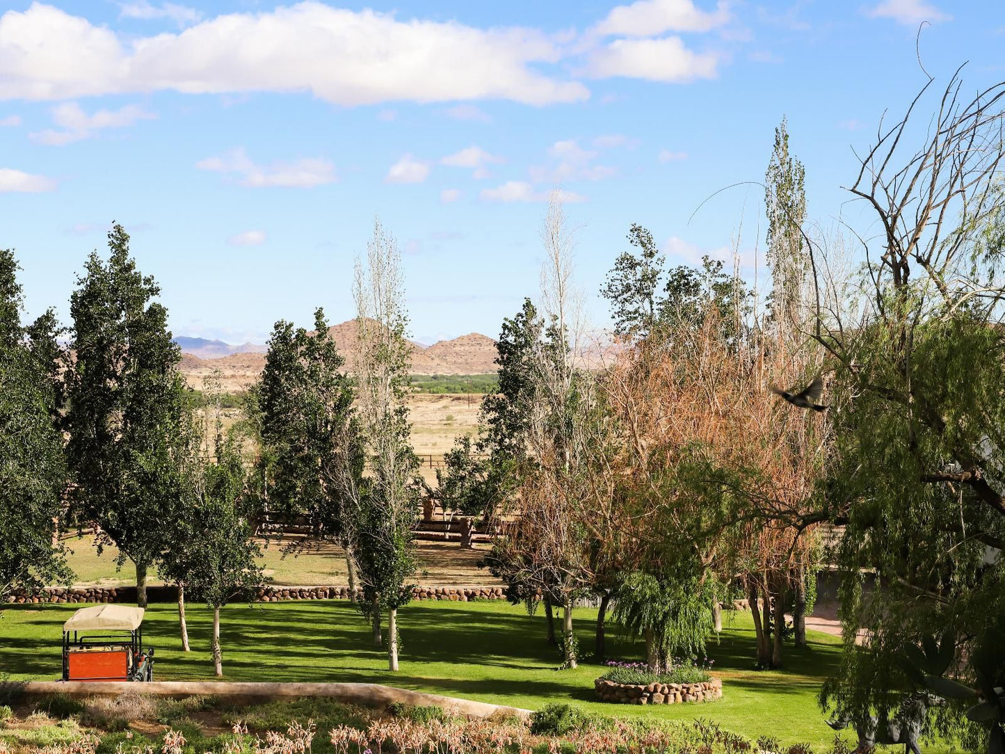 Big Sky Ranch Colesberg Northern Cape South Africa Complementary Colors, Plant, Nature