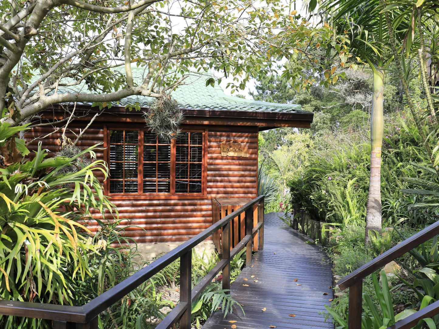 Big Tree House Lodge Knysna Western Cape South Africa 