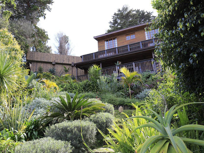 Big Tree House Lodge Knysna Western Cape South Africa House, Building, Architecture, Plant, Nature, Garden