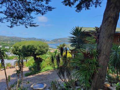 Big Tree House Lodge Knysna Western Cape South Africa Beach, Nature, Sand, Palm Tree, Plant, Wood, Garden