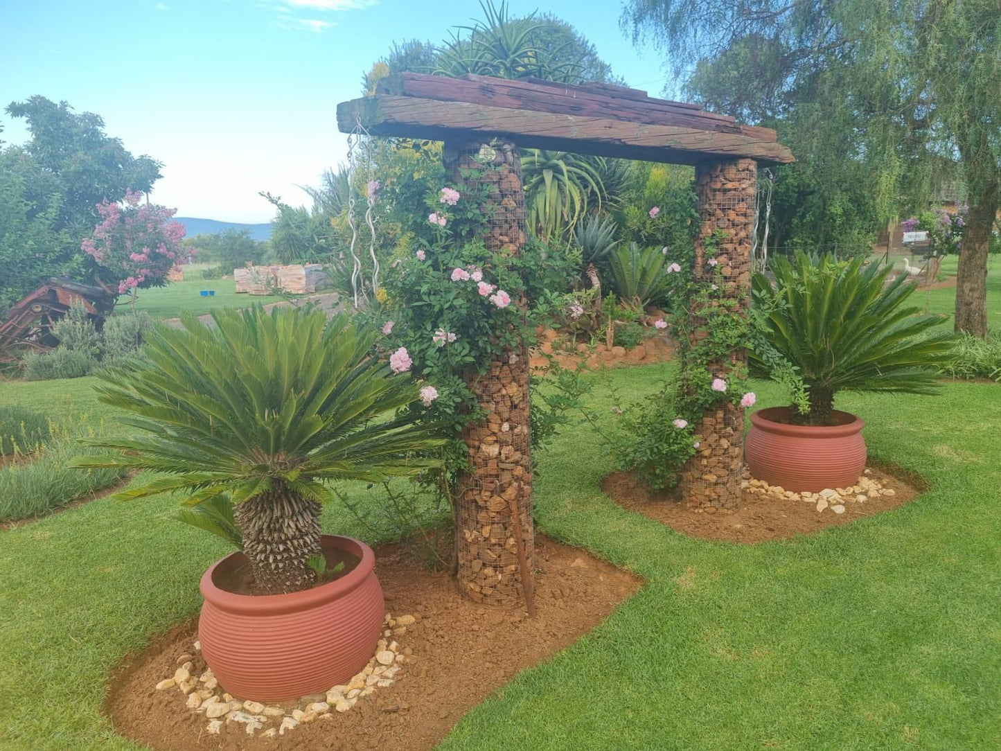Big Boma Guest Lodge Lydenburg Mpumalanga South Africa Plant, Nature, Garden