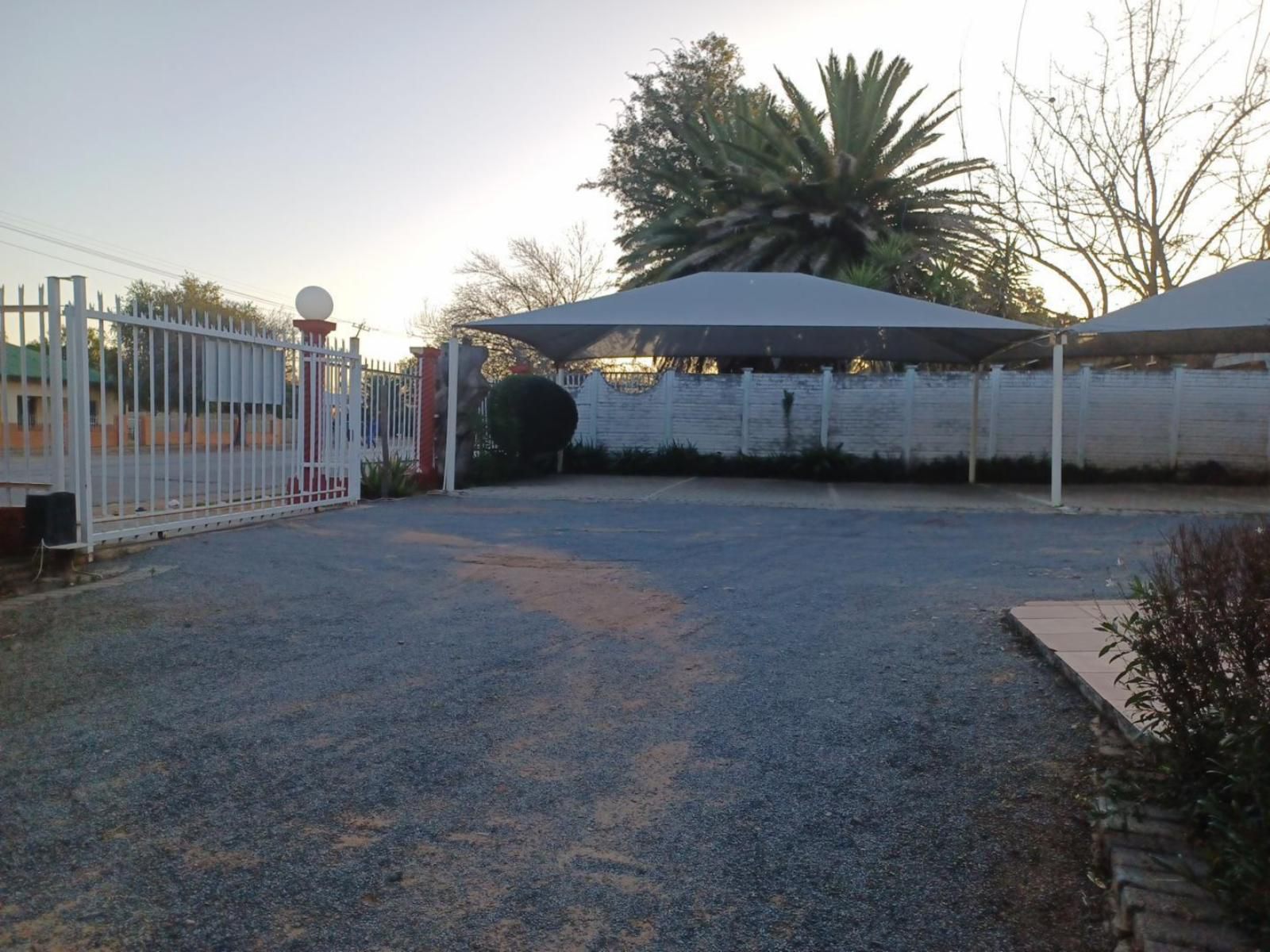 Bird Guesthouse Vryburg North West Province South Africa Unsaturated, Palm Tree, Plant, Nature, Wood