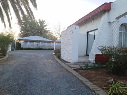 Bird Guesthouse Vryburg North West Province South Africa Unsaturated, Palm Tree, Plant, Nature, Wood