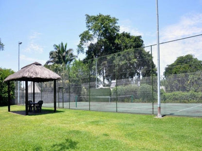 Birds Of Paradise Eshowe Kwazulu Natal South Africa Complementary Colors, Gate, Architecture, Palm Tree, Plant, Nature, Wood, Ball Game, Sport