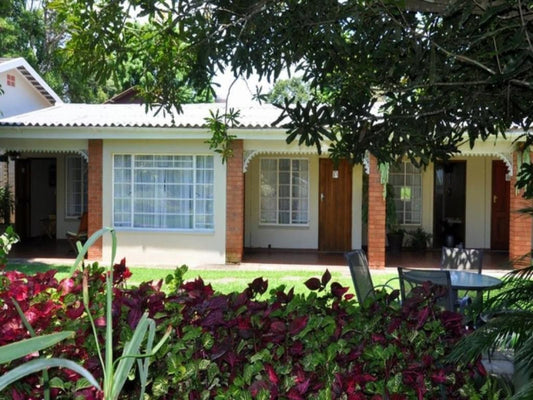 Birds Of Paradise Eshowe Kwazulu Natal South Africa House, Building, Architecture, Palm Tree, Plant, Nature, Wood