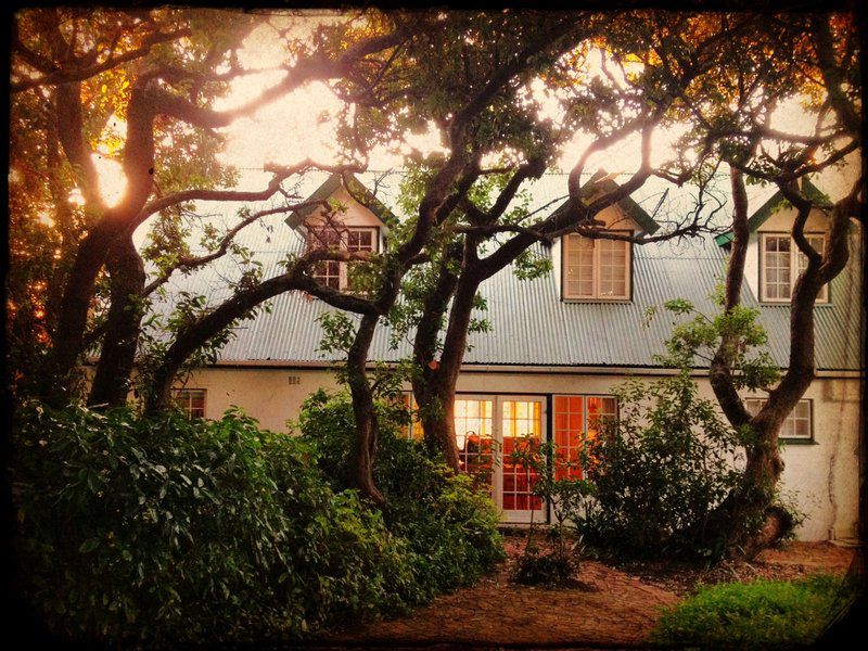 Birdsong Vermont Za Hermanus Western Cape South Africa Building, Architecture, House