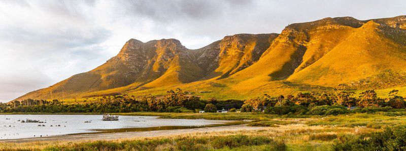 Birdsong Vermont Za Hermanus Western Cape South Africa Mountain, Nature, Highland