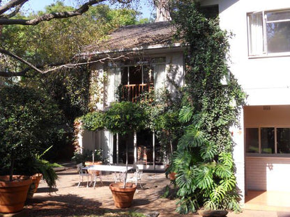 Birdwood Boutique Estate Arcadia Pretoria Tshwane Gauteng South Africa Balcony, Architecture, House, Building, Palm Tree, Plant, Nature, Wood, Garden