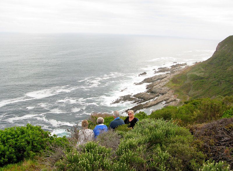 Bishops Cove Tsitsikamma Eastern Cape South Africa Beach, Nature, Sand, Cliff, Ocean, Waters