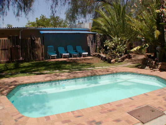 Bisibee Guest House Oudtshoorn Western Cape South Africa Complementary Colors, Palm Tree, Plant, Nature, Wood, Swimming Pool