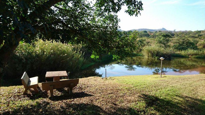 Bivouac Guest House Cairn Mpumalanga South Africa Tree, Plant, Nature, Wood