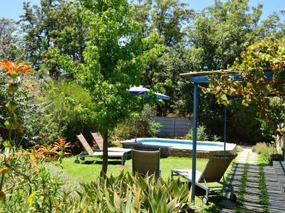 Blaauw Cottage Riebeek Kasteel Western Cape South Africa Plant, Nature, Tree, Wood, Garden, Swimming Pool