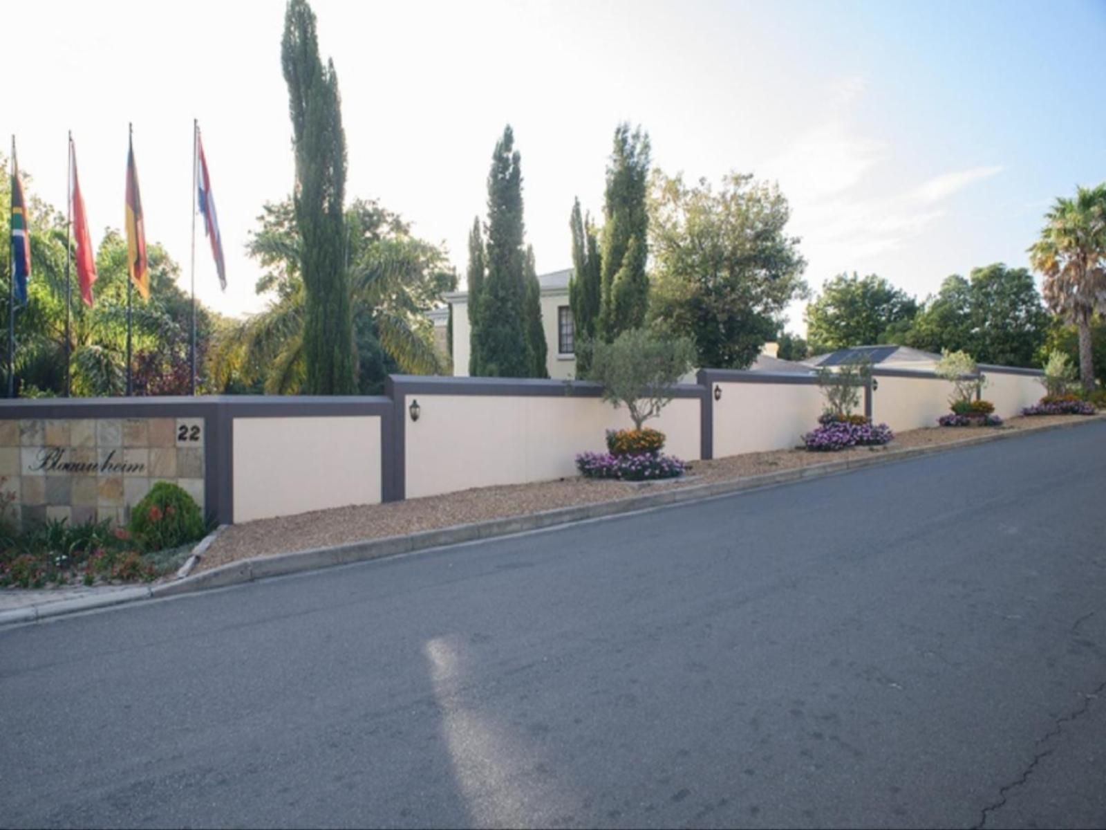 Blaauwheim Guest House Jonkershoogte Somerset West Western Cape South Africa Unsaturated, House, Building, Architecture, Palm Tree, Plant, Nature, Wood