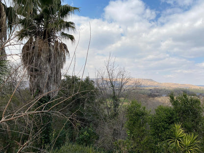 Black Horse Estate Magaliesburg Gauteng South Africa Palm Tree, Plant, Nature, Wood