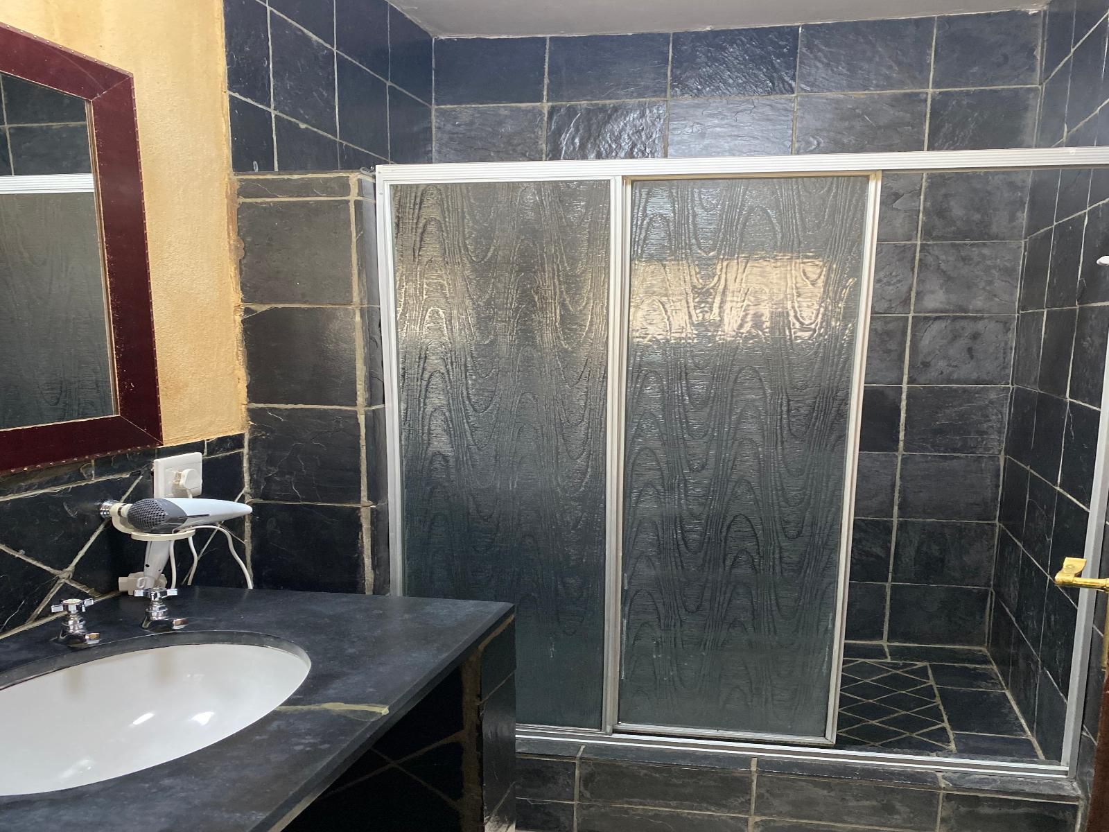 Black Horse Estate Magaliesburg Gauteng South Africa Selective Color, Bathroom
