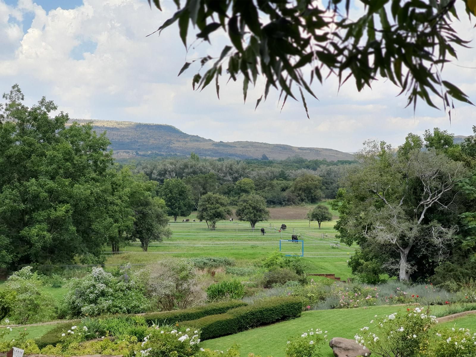 Black Horse Estate Magaliesburg Gauteng South Africa Garden, Nature, Plant, Golfing, Ball Game, Sport