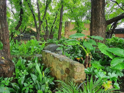 Black Horse Estate Magaliesburg Gauteng South Africa Plant, Nature, Tree, Wood, Garden