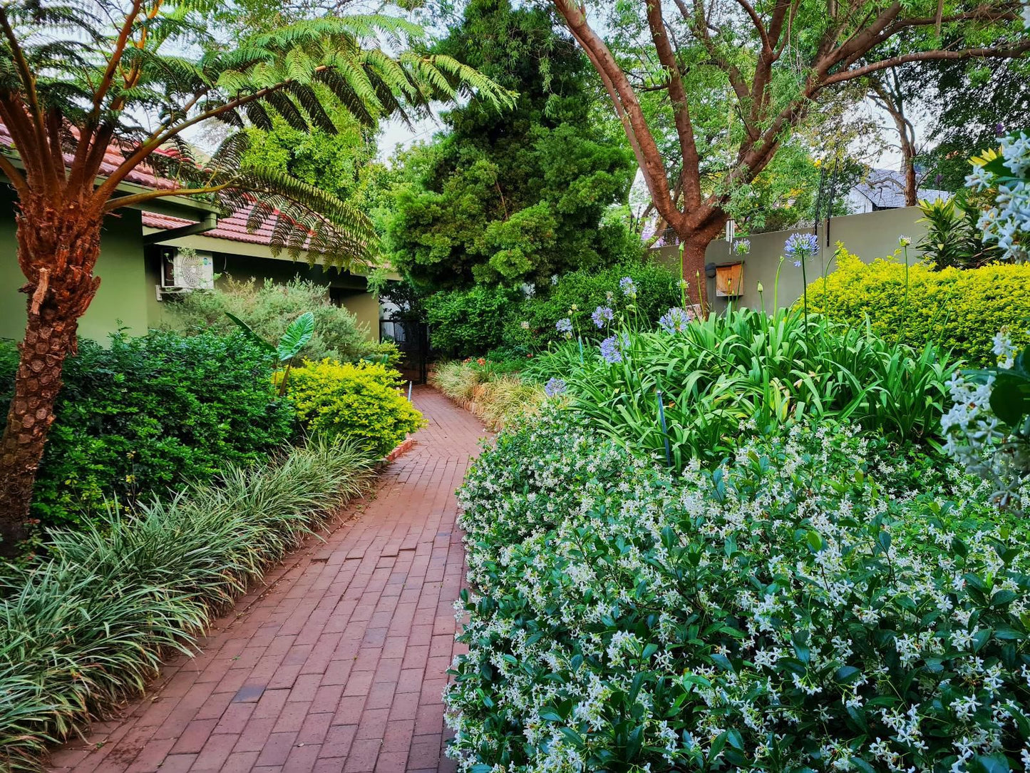 Blackheath Manor Guest House Blackheath Johannesburg Gauteng South Africa House, Building, Architecture, Palm Tree, Plant, Nature, Wood, Garden