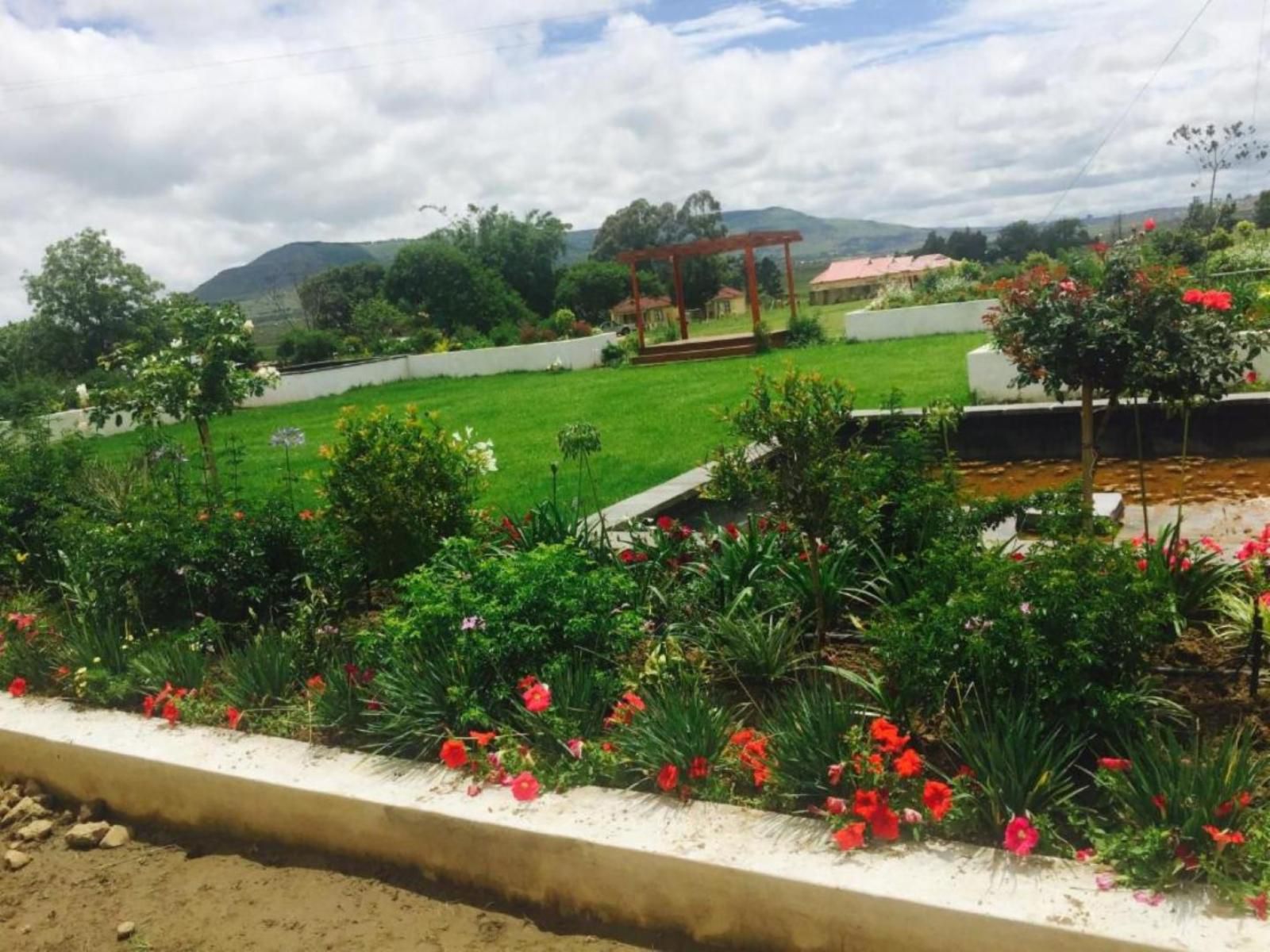 Black Horse Lodge Vryheid Kwazulu Natal South Africa Palm Tree, Plant, Nature, Wood, Highland