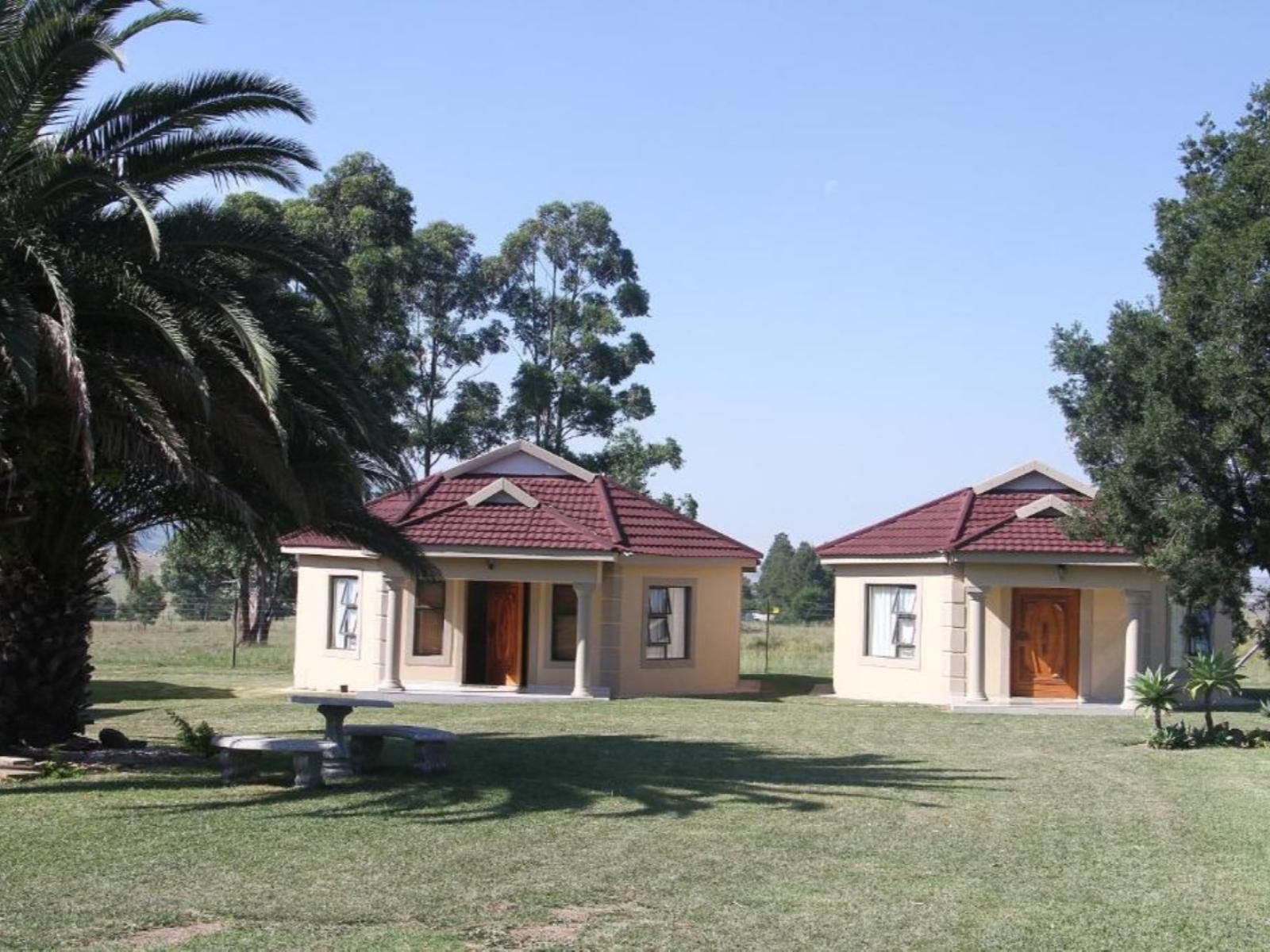 Black Horse Lodge Vryheid Kwazulu Natal South Africa House, Building, Architecture, Palm Tree, Plant, Nature, Wood