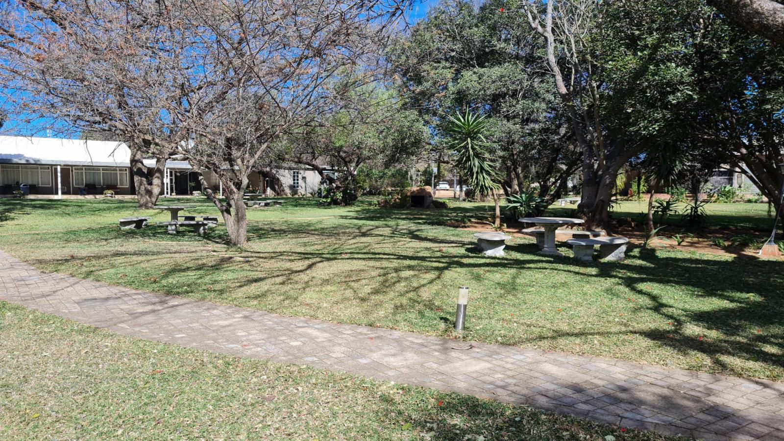 Black Swan Guest House Boshoek North West Province South Africa Palm Tree, Plant, Nature, Wood, Cemetery, Religion, Grave