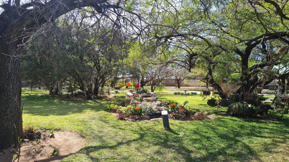 Black Swan Guest House Boshoek North West Province South Africa Plant, Nature, Garden