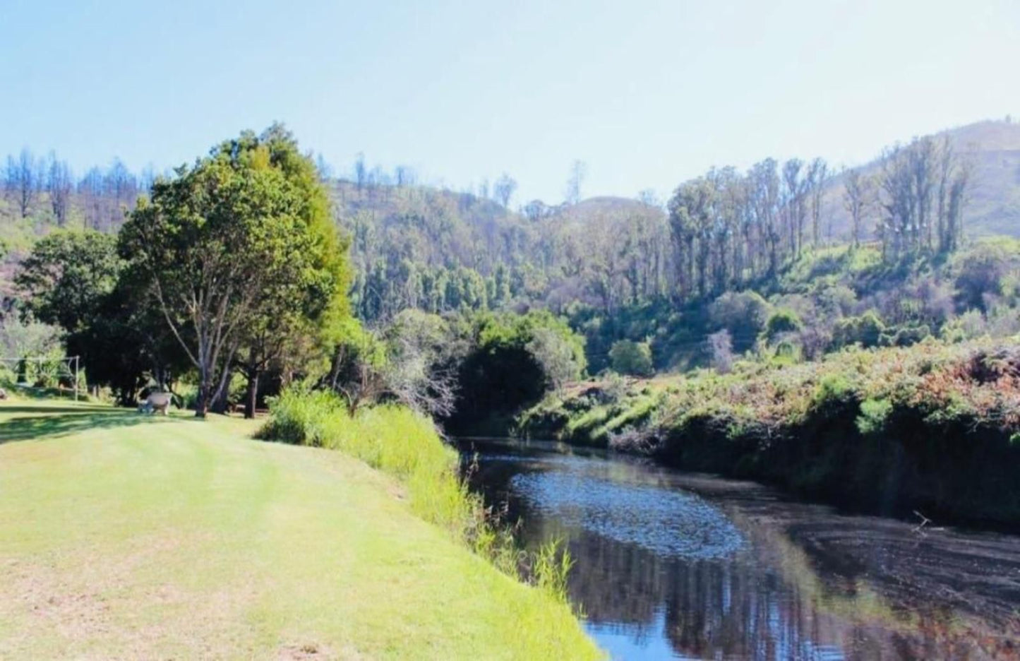 Blackwaters River Lodge Goukamma Nature Reserve Western Cape South Africa Complementary Colors, Forest, Nature, Plant, Tree, Wood, River, Waters