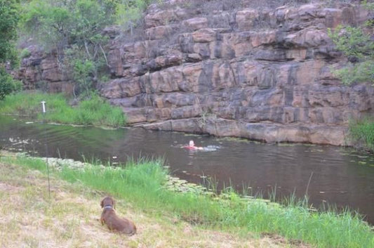 Blakeney Farm Lephalale Ellisras Limpopo Province South Africa Duck, Bird, Animal, River, Nature, Waters