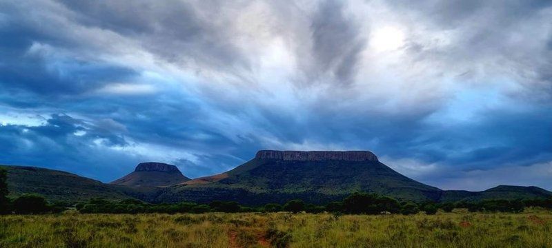 Blanco Guest Farm And Holiday Resort Tarkastad Eastern Cape South Africa Nature