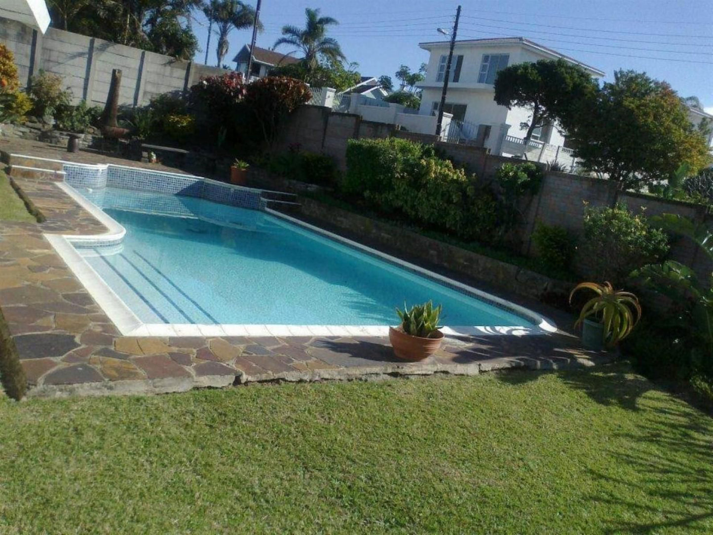 Blessed Corner Guest House Baysville East London Eastern Cape South Africa Palm Tree, Plant, Nature, Wood, Swimming Pool