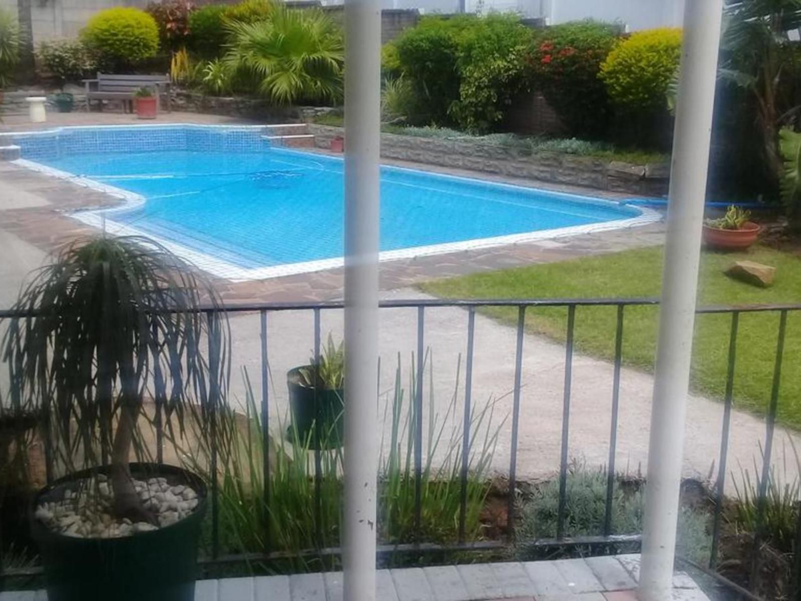 Blessed Corner Guest House Baysville East London Eastern Cape South Africa Palm Tree, Plant, Nature, Wood, Swimming Pool