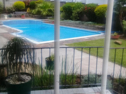 Blessed Corner Guest House Baysville East London Eastern Cape South Africa Palm Tree, Plant, Nature, Wood, Swimming Pool