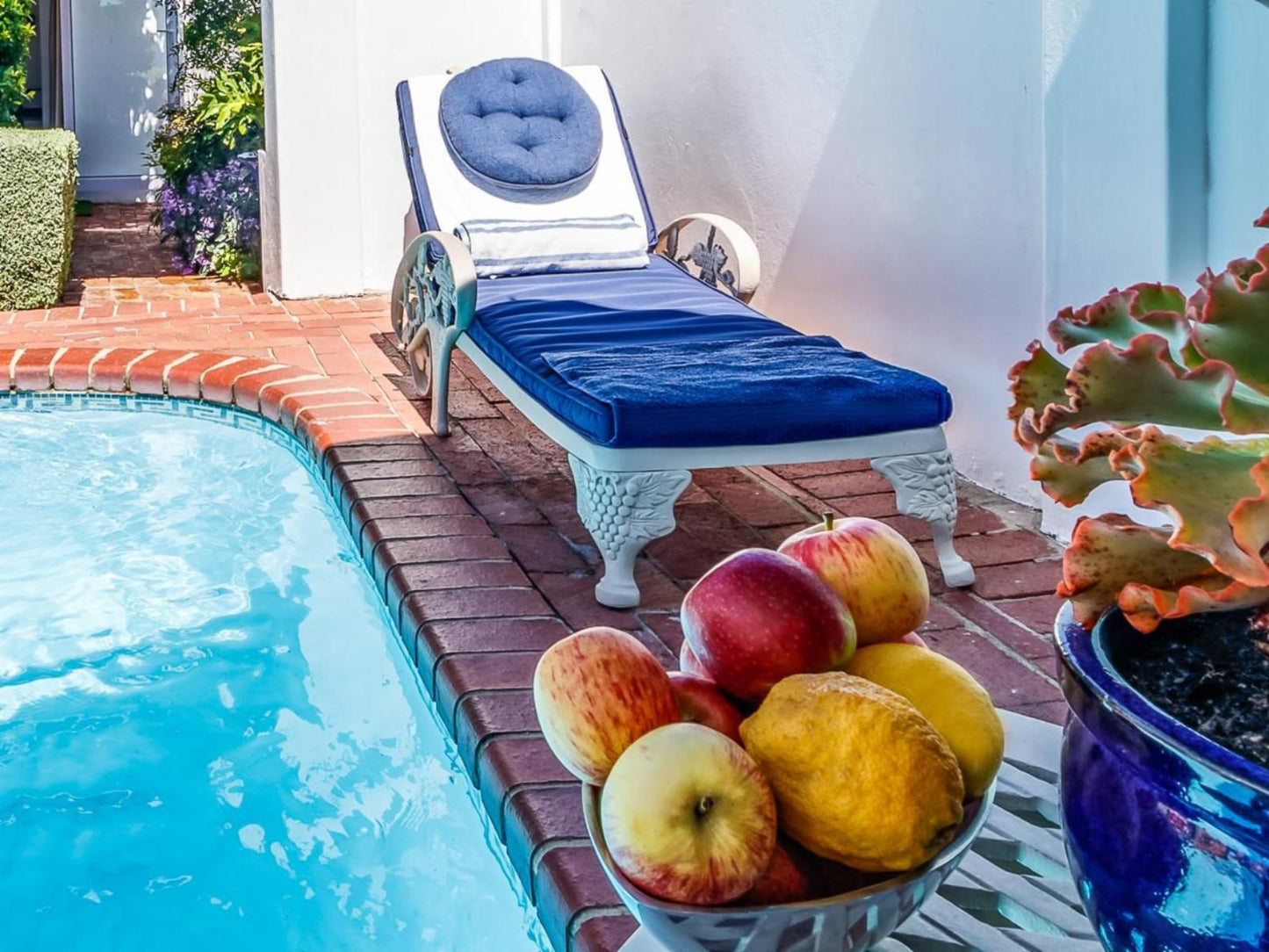 Bleu Cobalt Cottage Franschhoek Western Cape South Africa Complementary Colors, Food, Fruit, Swimming Pool