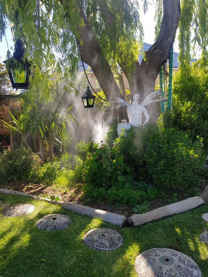 Calvinia Magic Garden Calvinia Northern Cape South Africa Palm Tree, Plant, Nature, Wood, Tree, Garden