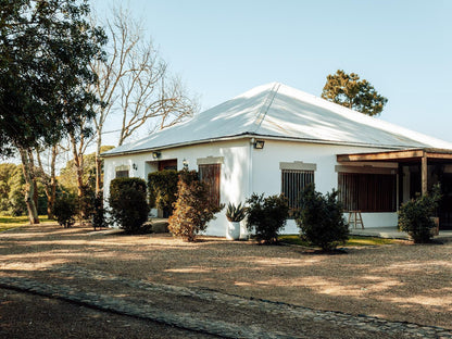 Bloemendal Wine Estate Van Riebeeckshof Cape Town Western Cape South Africa House, Building, Architecture