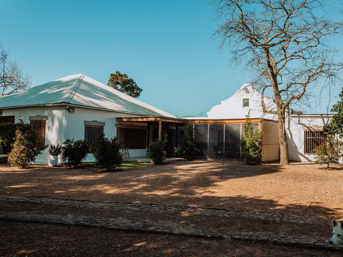 Bloemendal Wine Estate Van Riebeeckshof Cape Town Western Cape South Africa House, Building, Architecture