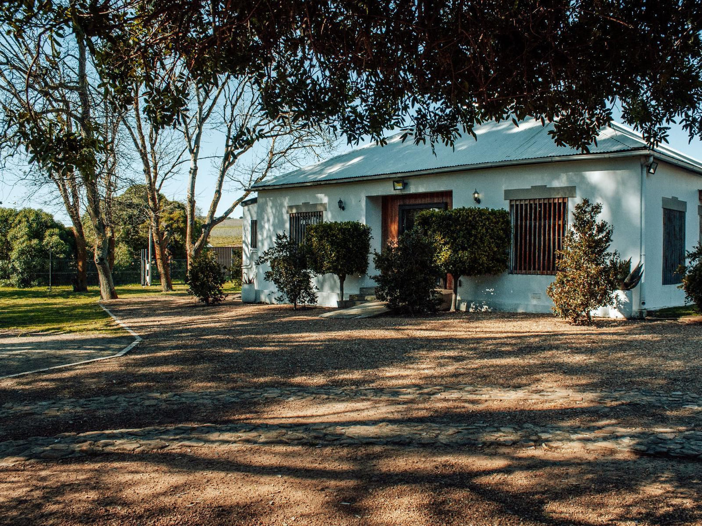 Bloemendal Wine Estate Van Riebeeckshof Cape Town Western Cape South Africa House, Building, Architecture, Palm Tree, Plant, Nature, Wood