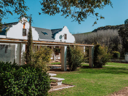 Bloemendal Wine Estate Van Riebeeckshof Cape Town Western Cape South Africa Complementary Colors, House, Building, Architecture