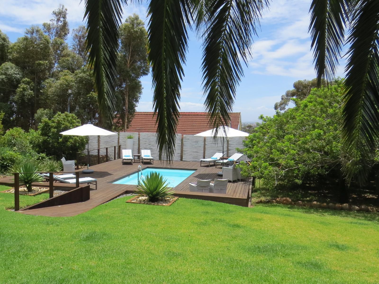 Bloemenzee Boutique B&B, Palm Tree, Plant, Nature, Wood, Swimming Pool