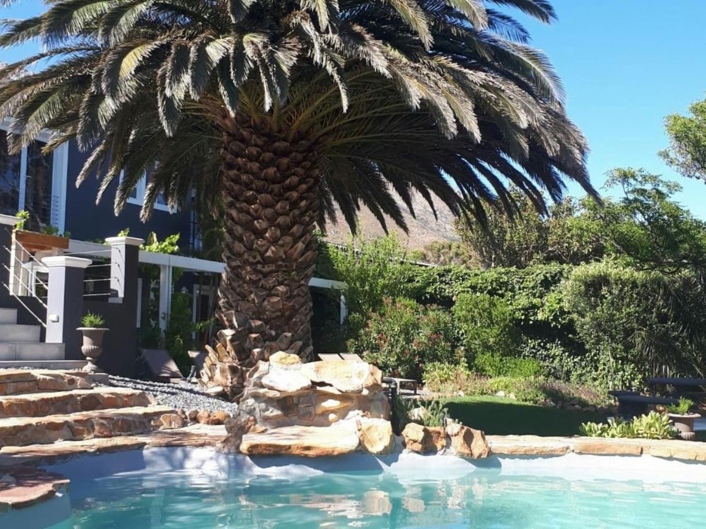 Bloemenzee Boutique B&B, Palm Tree, Plant, Nature, Wood, Garden, Swimming Pool