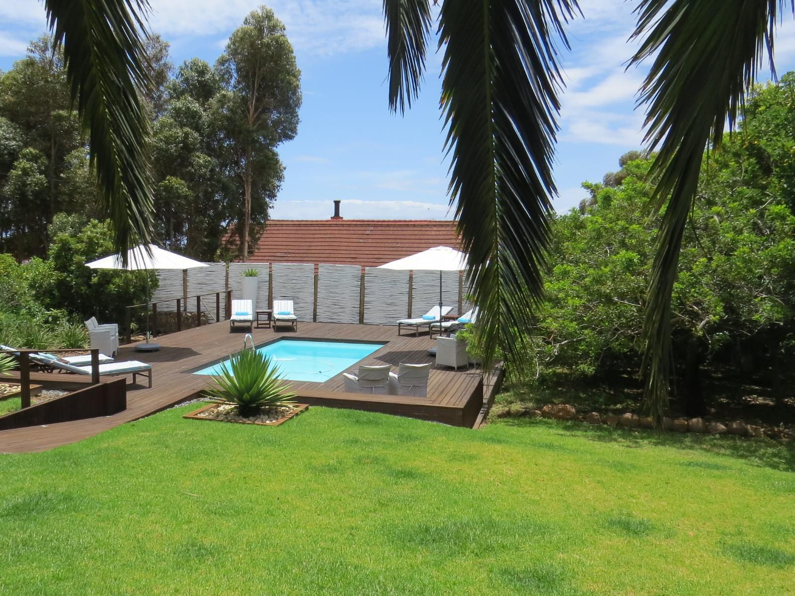 Bloemenzee Boutique B&B, House, Building, Architecture, Palm Tree, Plant, Nature, Wood, Swimming Pool