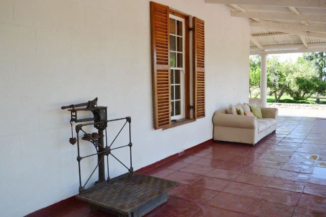 Bloemhof Karoo Richmond Northern Cape Northern Cape South Africa Palm Tree, Plant, Nature, Wood, Living Room