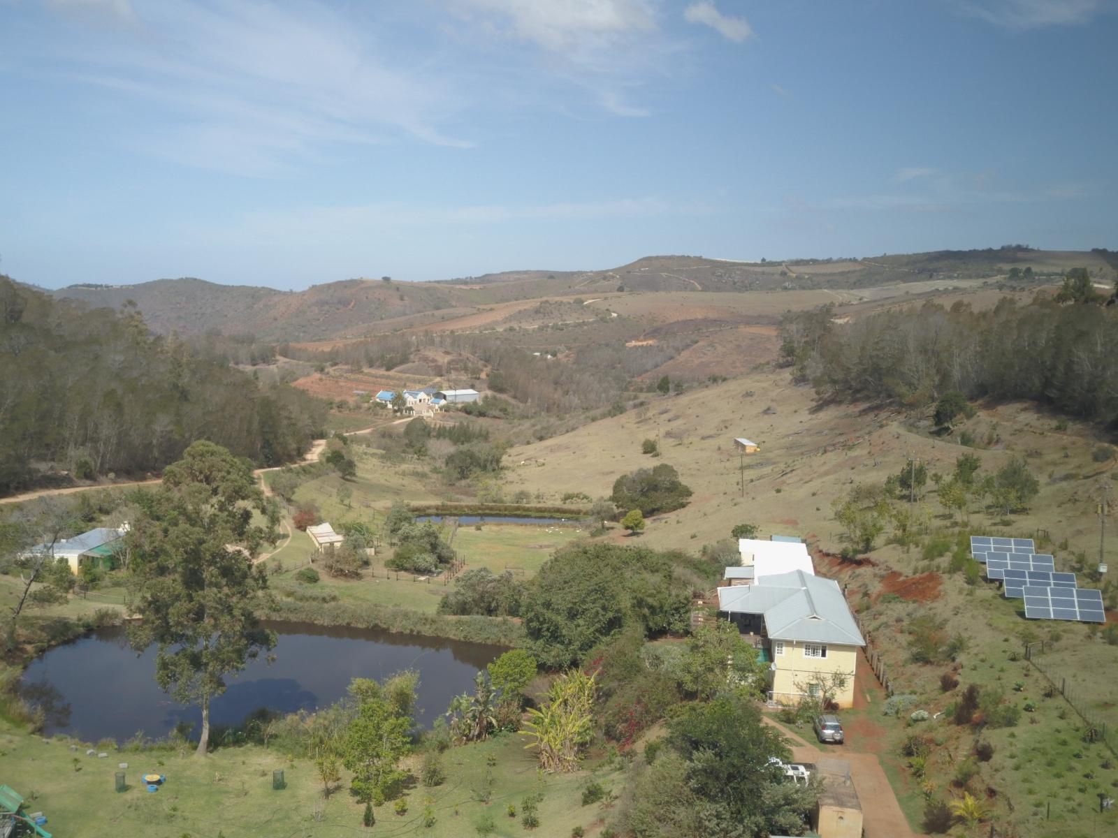 Blommekloof Country Cottages Ruiterbos Western Cape South Africa Complementary Colors, Nature